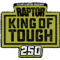 RAPTOR 250